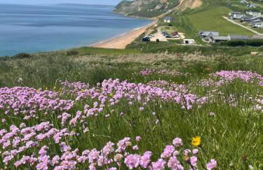 Chiddy Nook Cottage - Photo 17