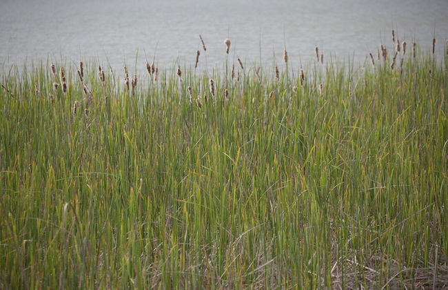 Fattoria Casabianca - Foto 43