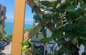 Appartamento Espero - Foto 13