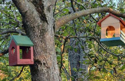 Three Little Birds Artists Residence - Foto 59