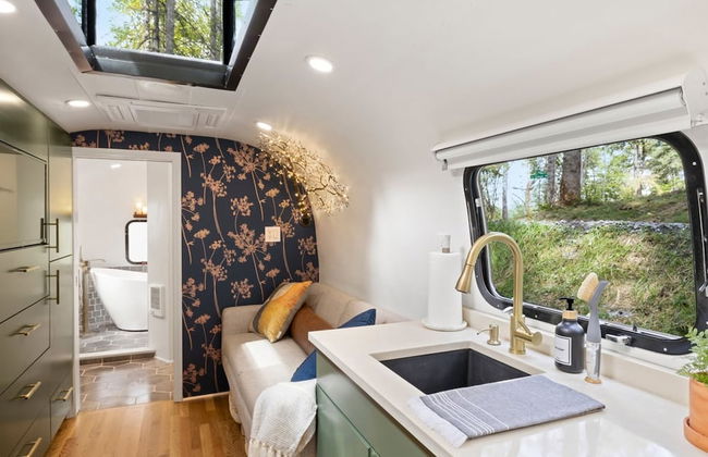 Royal Fern in Pisgah Forest - Foto 5