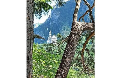 Holiday apartment Alpenrose - Foto 37