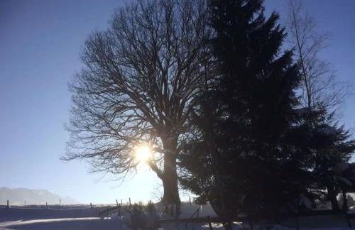 Grünes Stüble Allgäuer Alpen - Foto 15