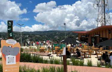 Duplex com vista espetacular no Morro do Elefante! - Foto 33