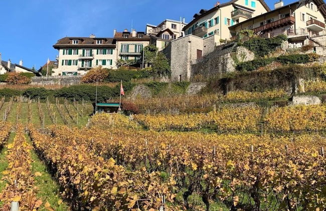 La Vigneronne, Uitzicht op het Meer - Foto 10