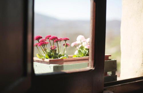 Ca' d'Alfieri - Foto 48