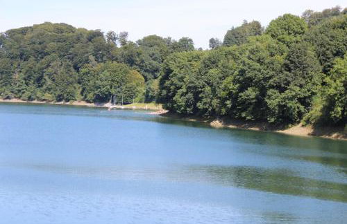 Haus Bergeshöh Hochsauerland - Foto 21