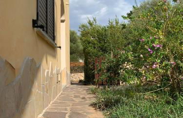 Casa Mirto, ground floor, Borgo Solità - IUN P6978 - Foto 3