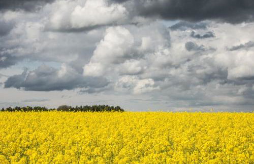 MCDreyer Ferienwohnung - Foto 43