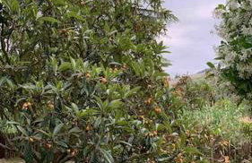 Vivenda de luxe a Barcelona - Foto 30