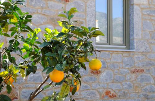 Nikoloudi Estate - Foto 8