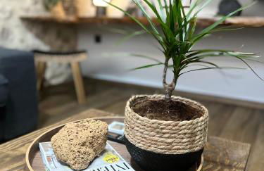 BÁNOVA APARTAMENTO TURÍSTICO - Photo 16