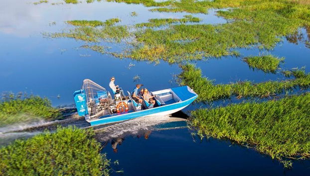 Mary River Wetlands Discovery by Airboat and Helicopter with Lunch Cruise - Foto 5