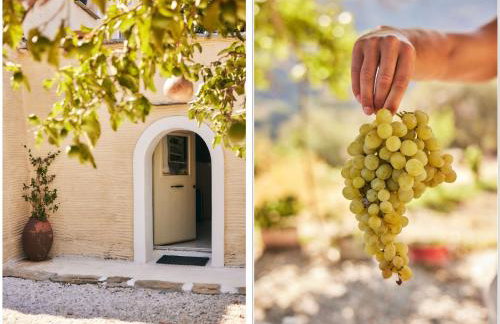Παραδοσιακός πέτρινος ξενώνας σε φάρμα - Foto 1