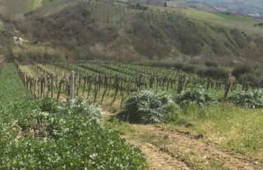 agriturismo cerquatonda - Foto 120