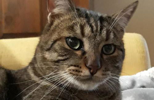 Tenuta Colverano - Foto 3