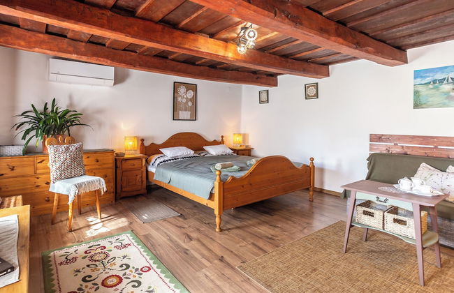 The Bird of Happiness-heaven for Dogs - Foto 4