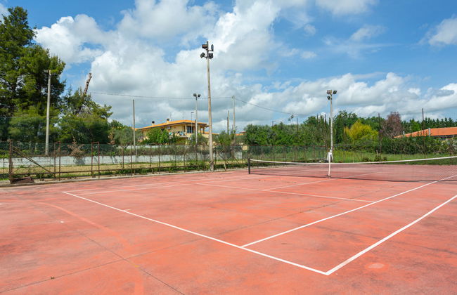 Bouganville - Foto 24