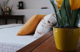 Quinta de Fiães - Photo 39