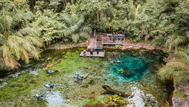 Faites du snorkeling dans la rivière Bonito