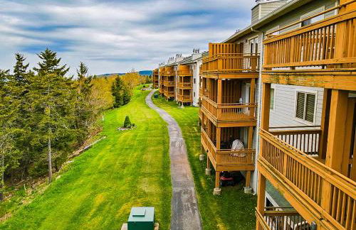 Remodeled Summit Condo at Snowshoe - Modern & Cozy - Foto 33