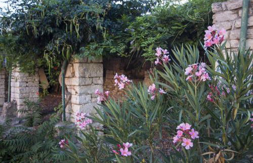 Masseria Citulo - Il Pino Grande - Foto 46