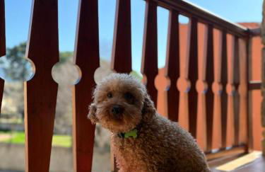 Apartamentos Cal Ratero - Foto 29