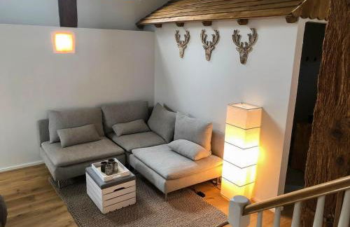 Villa d'exception LA BELLE DES VOSGES 4 étoiles, bain nordique, sauna, billard etc - Foto 28