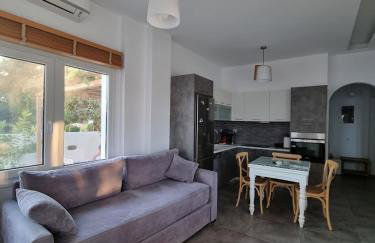 Barewake's Place 1 Spacious Cycladic and Seaside View South Paros - Photo 3