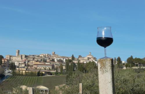 Cardinal Girolamo - Foto 59