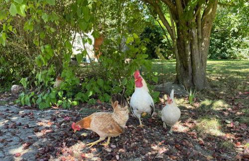 Villa Rosencottage by Interhome - Foto 38