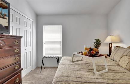 Valrico's Hidden Gem A Stunning 3-Bedroom Oasis Awaits! - Foto 33