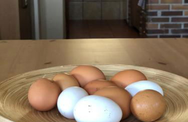 Casa rural en plena naturaleza Lic UVTR1524 - Photo 49