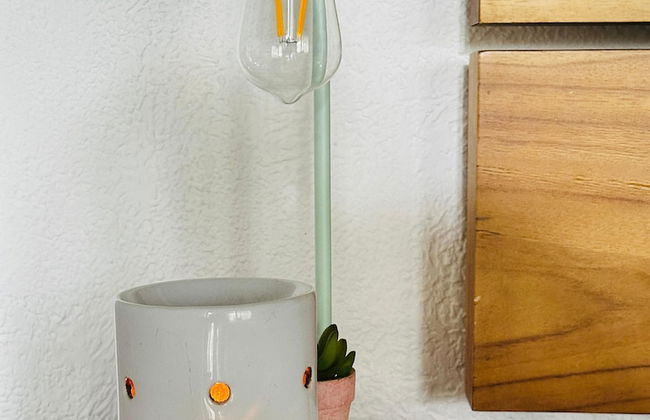 ecohotel zona 7 - Photo 19