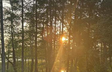 Ostoja Leśniewo - Foto 39