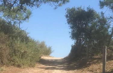 Maisonnette 2 pièces 100m de la plage de la Clère - Foto 9