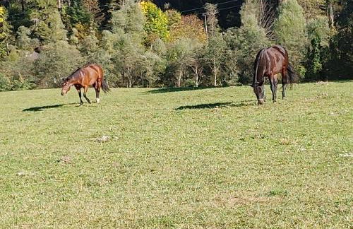 Appartamento Al Brenz - Foto 31