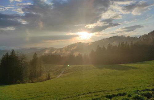 Sonnen-Juwel - Hallenbad, Sauna-2 getrennte Schlafbereiche, inklusive Bettwäsche, Handtücher, tolle Kinderausstattung - Foto 38