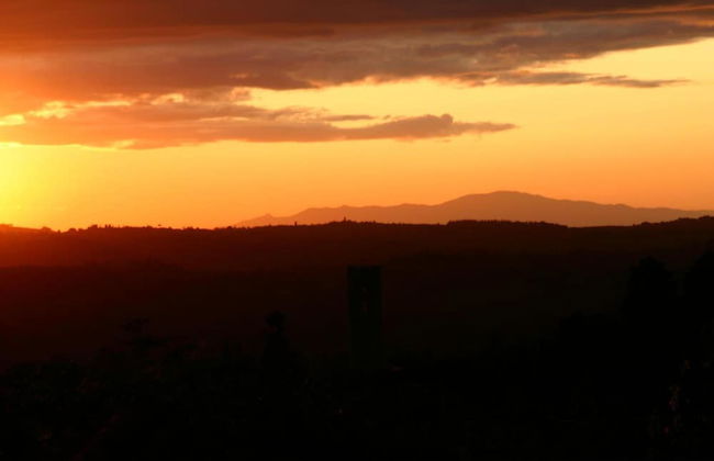 Agriturismo Podere La Cava - Photo 35