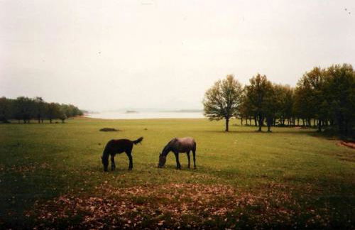 Margarita's House - Photo 48