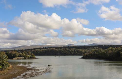 Melin y Coed - Foto 63