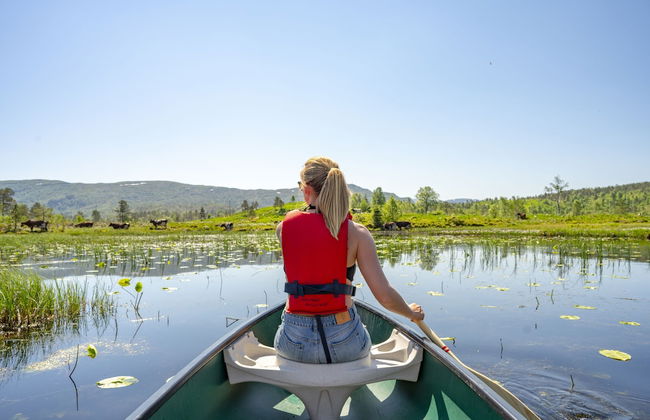 Bosdalhuset - Foto 32
