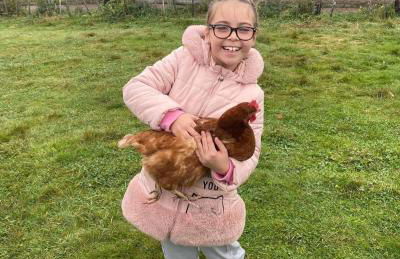 Rew Farm Country & Equestrian Accommodation - Sunrise Lodge - Foto 3