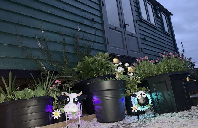Shepherds Hut With Hot Tub, North Wales, Anglesey - Photo 30