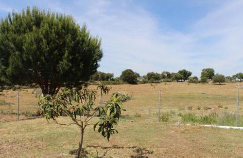 Tapada dos Ribeiros - Foto 7