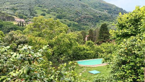 Villa con parco e piscina-Camaiore - Foto 3