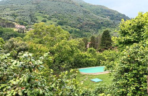 Villa con parco e piscina-Camaiore - Foto 3