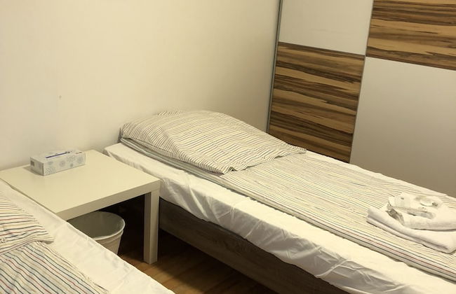 Sahara Falcon - Foto 25