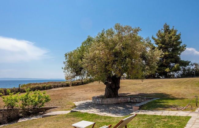 Alterra Vita Captain's Cabin - Photo 23