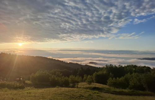 Bali domy RESTORT & SPA - Photo 16